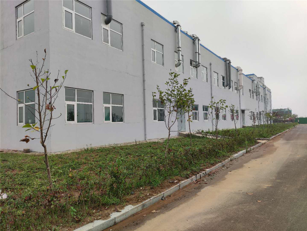 山东罗欣药业集团恒欣药业有限公司